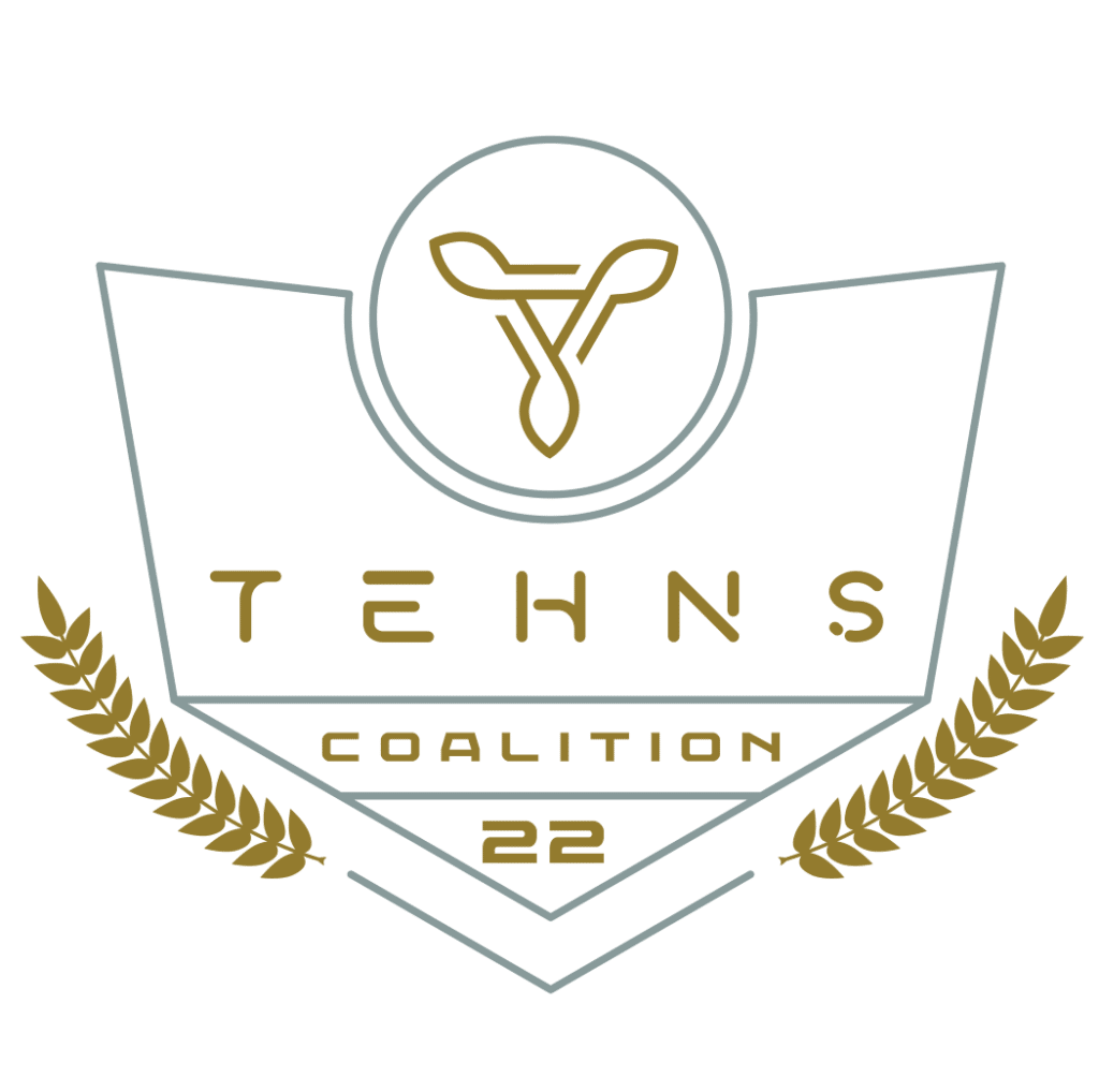 TEHNS-ASSETS-03-1-1024x1018
